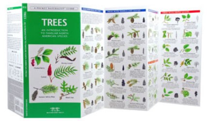Pocket Naturalist: Trees